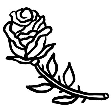 Çiçek açan bir gül sapının kabataslak çizimi. El çizimi karalama şeffaf arka planda izole