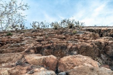 Türkiye 'nin Alanya Şatosu' ndaki kayalık antik bir duvar, üzerinde yıpranmış taşlar ve doğal bitki örtüsünü gösteriyor. Yukarı doğru bakış açısı sert dokuyu ve doğal aşınmayı vurgular.