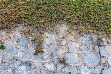 Türkiye 'nin Alanya kentinde bir taş duvar, kısmen kuru bitki örtüsü ve yeşil sarmaşıklarla kaplı. Engebeli taş yüzeyle narin bitkiler arasındaki zıtlık doğal bir doku yaratır.
