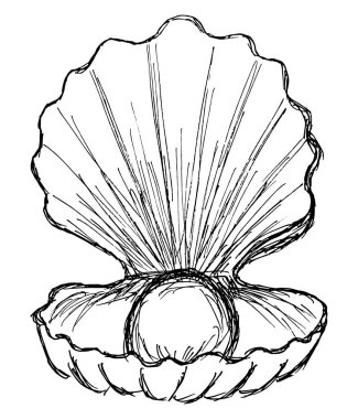 İçinde inci olan bir deniz kabuğunun kaba siyah beyaz çizimi. İçinde top olan bir açık kabuğun basit vektör doğrusal Clipart 'ı