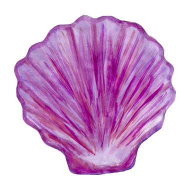 Suluboya olarak biçimlendirilmiş mor bir deniz kabuğunun parlak vektörü. Beyaz arkaplanda izole edilmiş güzel kabuk çizimi