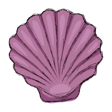 Mor deniz kabuğu, şeffaf bir arka planda izole edilmiş. Çizgi film çizimi. Sert elle çizilmiş renk vektörü karalaması