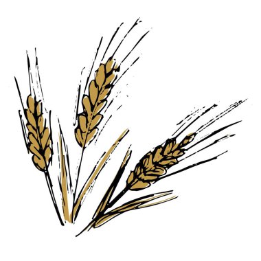 Siyah çizgili üç altın çivi. El çizimi renk vektörü çizimi şeffaf arkaplanda izole edildi