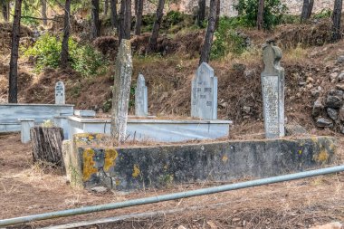 Old gravestones covered in moss and surrounded by pine trees at a quiet cemetery near Alanya Castle, Turkey. The peaceful setting and weathered stones tell stories of the past. Alanya, Turkey - October 24, 2020 clipart