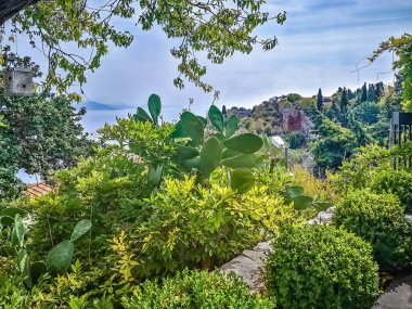 Arka planda Alanya Kalesi 'nin olduğu huzurlu bir yeşillik ve kaktüs manzarası. Manzarada, Türkiye 'de popüler bir turizm beldesi olan tarihi şatoyu çevreleyen yemyeşil doğa sergileniyor
