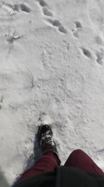 Sakin bir kış yürüyüşünün POV videosu, kar kaplı botlar ve taze karın içinde çıtırdayan bordo pantolonları gösteriyor. Dikey 4k video 37 saniye. Huzurlu kış yürüyüşü kişisel bir perspektiften çekildi. Güneş ışığı altında parlayan kar