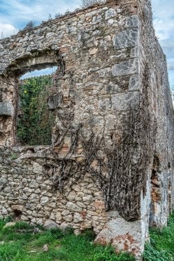 İspanya 'nın Girona kentindeki antik Montjuic kalesinin yıpranmış taş kalıntıları, dağcı sarmaşıkları ve yabani bitkilerle kaplı duvarları. Terk edilmiş ortaçağ yapısı açıkta bırakılmış taş işçiliği, aşınmış bir kemer yolu ve çiğnenmiş bitki yaşamı içeriyor.
