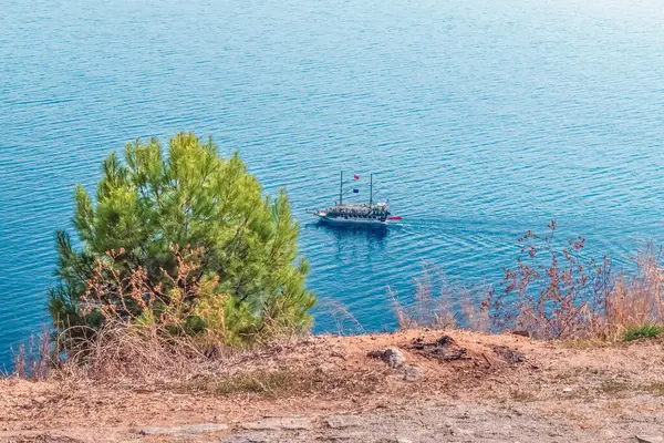 Türkiye 'nin Alanya kenti yakınlarındaki Akdeniz' in mavi sularında huzur içinde yüzen bir tekne görülüyor. Ön plandaki yemyeşil çam ağacı sakin okyanusla çelişiyor ve sakin bir manzara yaratıyor.