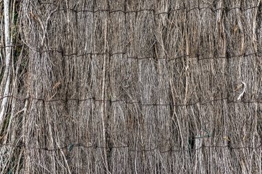 Geleneksel sazdan yapılmış çatı ya da duvar, doğal bir yalıtım dokusu yaratmak için yatay tel destekli sazlıktan yapılmış. Ayrıntılı yakın çekim, sürdürülebilir bir yapı malzemesi oluşturan saman iplikçiklerinin katmanlı düzenini gösterir