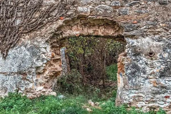 Montjuic Hill, Girona, İspanya 'daki antik harabelerin taş kemerli girişi. Doğa, yabani yeşilliğin ötesindeki manzarayı çerçeveleyen yıpranmış taş işçiliğinde büyüyen bitki örtüsüyle ortaçağ yapısını geri istiyor.