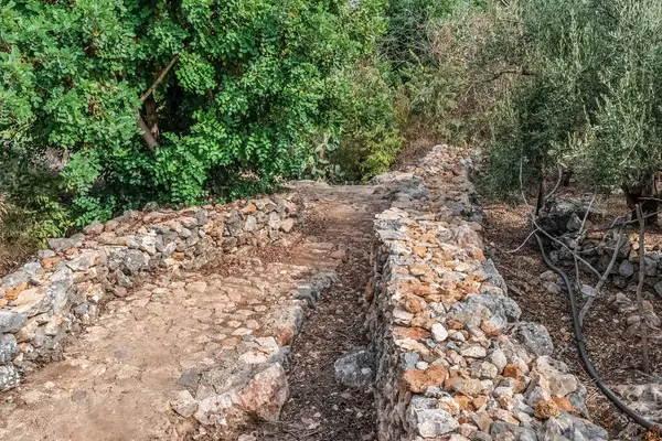 Türkiye 'nin Alanya Şatosu' nun kayalık yarımadasında yemyeşil ile çevrili antik taş patika. Huzurlu bir doğa tarihi harabelerde yürüyor huzurlu ve manzaralı bir manzara sunuyor.