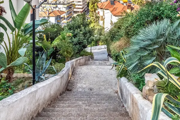 Türkiye 'nin Alanya kentindeki bir yamaçta yemyeşil ile çevrili taş merdivenler. Yol, çatıların ve şehir binalarının manzaralı manzarasına doğru iniyor.