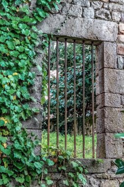 Demir parmaklıklar ve Sarmaşık Sarmaşıkları ile Orta Çağ Taş Duvarı. Doğa, parmaklıklı pencereden bahçeye bir göz atarak tarihi mimariyi geri istiyor.