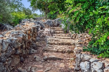 Yeşil alanlarla çevrili taş merdivenler, Türkiye 'nin Alanya Şatosu' nda kayalık bir yol açıyor. Doğal ortam, tarihi kalıntılarla çelişiyor ve barışçıl bir atmosfer yaratıyor.