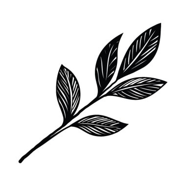 El çizimi yaprak çiçekleri, karalama çizimi çiçek yaprakları. Yaprak süsleme, çiçek çelengi karalama. Vektör Çiçekler ve bitkiler el çizimleri.