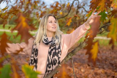 Süveter ve eşarp giyen neşeli orta yaşlı kadın, elini bir sonbahar ayağında bir ağacın yaprağına uzatıyor.