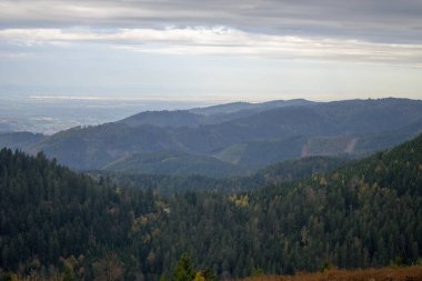 Kara Orman 'daki bir dağın güzel manzarası Kara Orman' ın üzerinde sayısız köknar ağacı var.