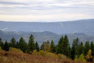 Kara Orman 'daki bir dağdan güzel bir manzara. Tüm Kara Orman' ın üzerinde. Önünde bir sürü köknar ağacı var.