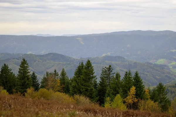 Piękny Widok Góry Czarnym Lesie Cały Czarny Las Wieloma Jodłami — Zdjęcie stockowe