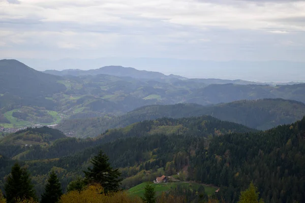 Krásný Výhled Hory Černém Lese Celý Černý Les Mnoha Jedlemi — Stock fotografie