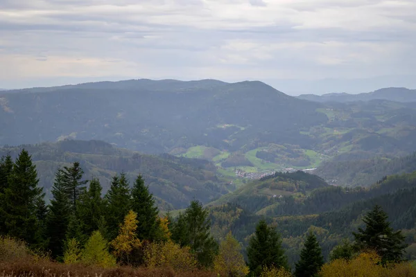 Beautiful View Mountain Black Forest Entire Black Forest Many Fir — Stock Photo, Image