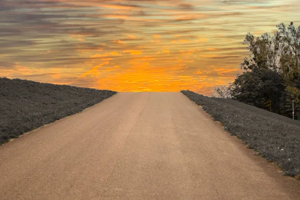Totally Empty Road Uphill Gray Black Grass Sides Crimson Yellow — Stock Photo, Image