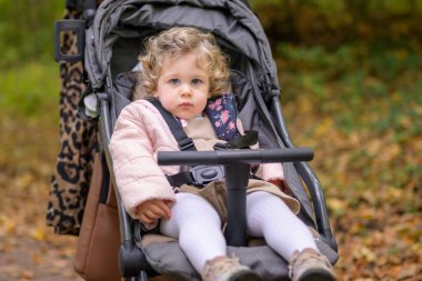 Küçük kız bebek arabasında oturuyor ve sonbaharda ne olacağını bekliyor.
