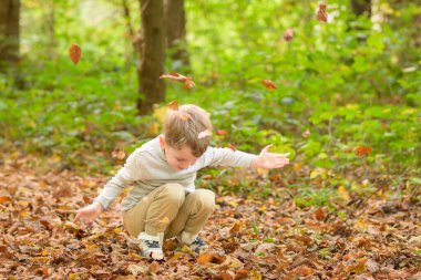 Sonbaharda çömelmiş, ormana yapraklar fırlatan küçük mutlu bir çocuğun tam boy çekimi.