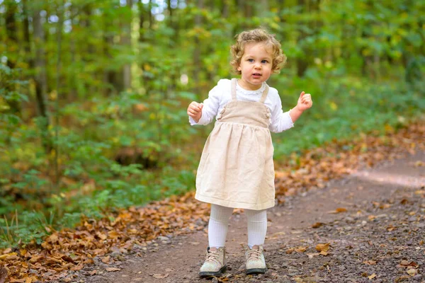 Dlouhý Záběr Malé Usměvavé Dívky Zvědavě Rozhlížející Lese Podzim — Stock fotografie