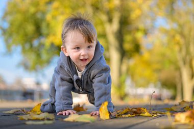 Rahat gri ceketli neşeli bir çocuk, yaprak saçılmış ahşap bir yolda emekler ve çevreleriyle ilgili heyecan ve merak gösterir..
