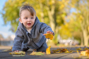 Gri bir ceket giymiş neşeli genç bir çocuk, ahşap bir yolda düşen yapraklarla oynamak için uzanır..