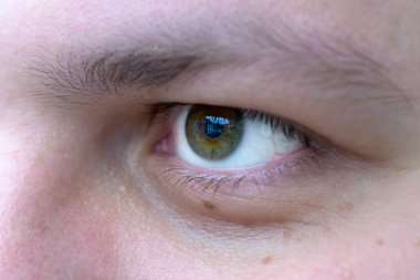 Yeşilimsi kahverengimsi bir zambağı olan bir insan gözünün yakın çekimi binaların ve gökyüzünün görüntüsünü yansıtıyor..