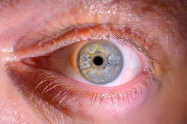 Altın benekler ve karmaşık dokularla vurgulanmış çarpıcı mavi bir iris ile insan gözünün detaylı bir makro görüntüsü..