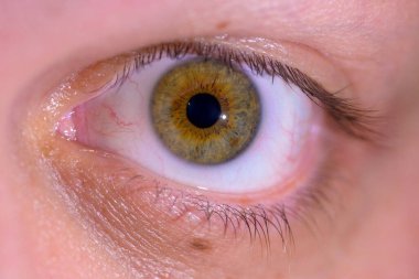 Altın fındıklı bir göze yakın çekim, karmaşık iris desenlerini ve doğal dokuları ortaya çıkarıyor..