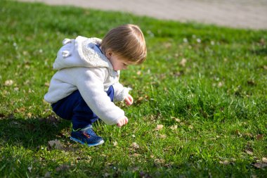 Küçük bir çocuk güneşli bir parkta dikkatlice çömelmiş çimenleri ve küçük yaprakları yakından inceliyor..