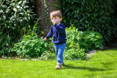 Kotlu ve koyu mavi tişörtlü genç bir çocuk güneşli yeşil çimlerin üzerinde yürüyor, parmak ağza, sessiz bir merak anında..