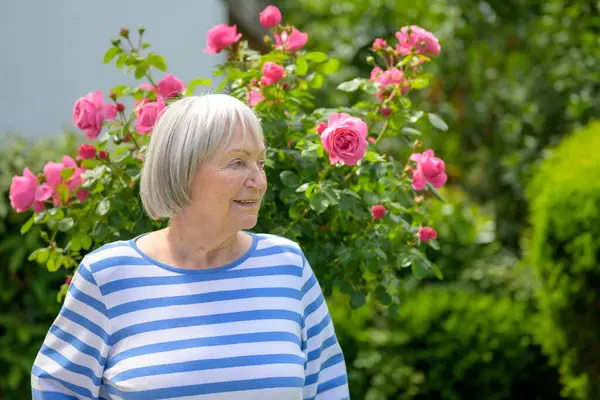 Mavi ve beyaz çizgili tişörtlü yaşlı kadın çiçek açan pembe güllere bakarken hafifçe gülümsüyor..