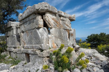 Eski bir Lycia mezarına yakın plan, sidyma hindisi..