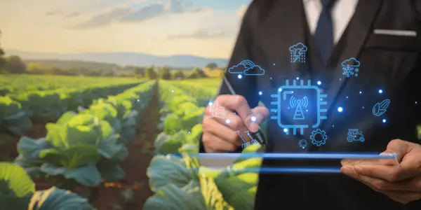 agriculture and modern technology Farmer using smart farming technologies using AI