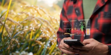 Akıllı Çiftlik UI hologram sistem kontrolü, bakım, büyüme bilgisini gösterme besin maddeleri, gübreler, su, ağaçların, bitkilerin ve sebzelerin zararlı böcekleri, tarımda teknoloji kullanın.