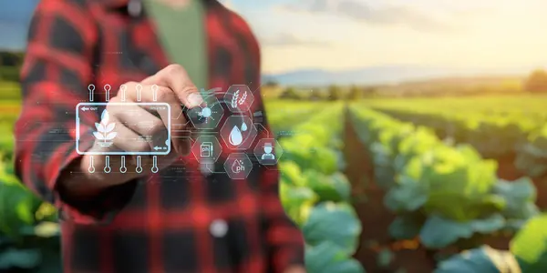 UI hologram tarımı ve modern teknoloji çiftçisi akıllı tarım teknolojilerini yapay zeka kullanarak kullanıyor.