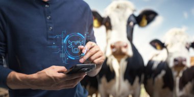 Sığır çiftçiliğinin bir simgesi, otlak ya da ahır yanında bir inek silueti, çiftlik hayvanlarını ve tarım uygulamalarını temsil eden bir simge.