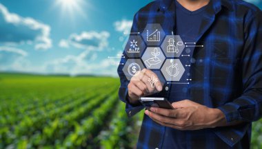 Bir çiftçi canlı bir alanda tarım teknolojisi ve veri analizlerini sunarak tarım yönetimi ve üretkenliğini arttırmak için akıllı telefon kullanır..