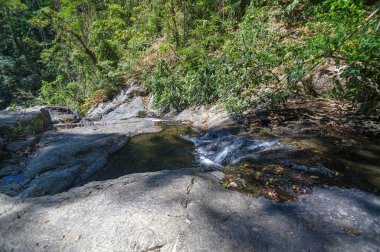 Huzurlu bir dağ deresi, ağaçların arasından süzülen canlı yeşillik ve güneş ışığıyla çevrili kayalık arazide yavaşça akar ve huzurlu bir doğal kaçış yaratır..