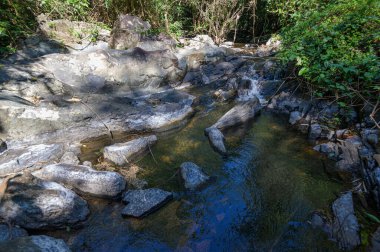 Canlı yeşillik ve barışçıl doğal güzelliklerle çevrili yemyeşil bir ormandaki yosun kaplı kayaların üzerinden sakin bir dere yavaşça akar. Açık hava sahneleri için mükemmel..