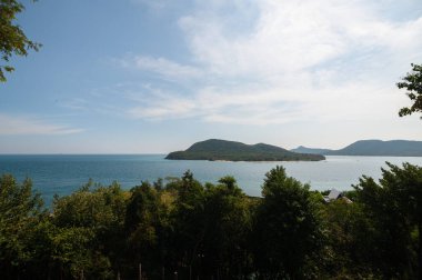 Berrak mavi bir gökyüzü altında bir adanın, yemyeşil suların ve sakin suların bulunduğu sakin bir kıyı manzarası. Rahatlamak ve doğa aşıkları için mükemmel..