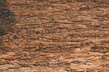 Bu yakın plan görüntüde doğal kabuğun karmaşık desenlerini ve dokularını keşfetmek, kırsal bir tasarımda organik maddelerin güzelliğini gözler önüne sermek..