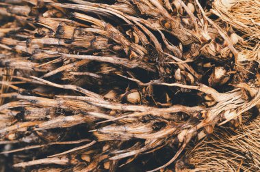 Karmaşık dokular ve toprak tonlarını gösteren kurumuş kök bitkilerinin yakın görüntüsü. Doğa temalı projeler, tasarım unsurları veya organik kavramlar için ideal.