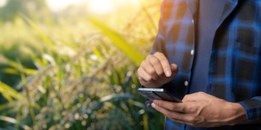 Yeşilliklerle çevrili açık havada akıllı telefon kullanan bir insan, teknoloji ve iş dünyasının doğal ortamdaki kesişiminin altını çiziyor..