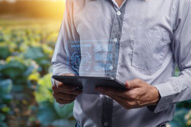 Verimli tarım için akıllı teknolojiden yararlanan modern tarım uygulamalarını araştırın. Bu resimde ekinleri ve verileri izlemek için tablet kullanan bir çiftçi görülüyor..